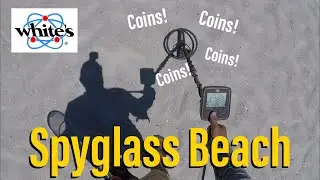 Металлоискатель на пляже Сент-Огастин Spyglass! TreasurePro Live Digs. White&rsquo;s Electronics Hexscoop