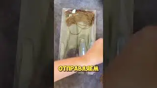 Набираем сотрудников ‼️Кандидаты от 18 ле  !!!!‼️#удаленка #удаленнаяработа #работадома