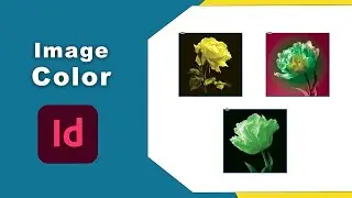 Как изменить цвет изображения в Adobe InDesign