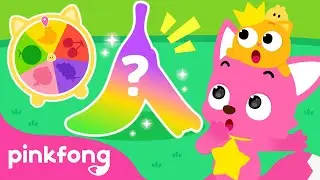 [Pinkfong x Ninimo] Colorful Fruit Playground | Learn Colors | Pinkfong Official