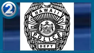 Single-vehicle crash in Hilo claims man's life