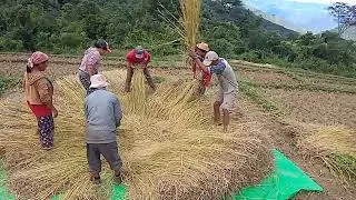 U San Kip Thawng 'lo'