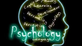 Mr.Piez Psychology Class Video Project On Diffusion Of Responsibility 2012