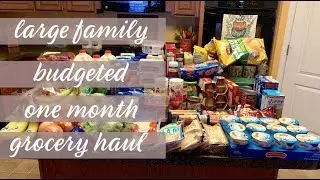 SEPTEMBER 2019 ONE MONTH EXTREME BUDGET LARGE FAMILY GROCERY HAUL $235 || WALMART HAUL || ALDI HAUL