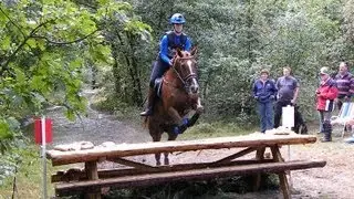 SGW Norg Klasse L 2013