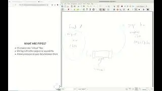 (5) Using the command-line: Advanced processes (COP-3402 Fall 2024)