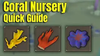 Coral Nursery Quick Guide OSRS