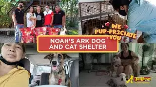 We PUPreciate You, Noah's Ark Dog and Cat Shelter! #TopPupreciationChallenge