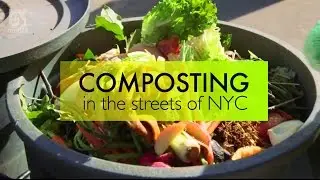 Composting 101: How to compost in NYC
