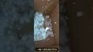 Reinforced Concrete Fibrillated Mesh fiber cutting cutter/micro multifilament yarn chopping machine
