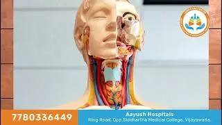 Airway foreign body management and retrieval techniques