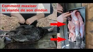 Comment maximiser la viande d'un dindon sauvage, d&eacute;bitage - Maximizing Wild Turkey Meat