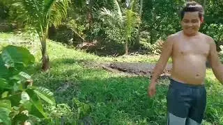 how to make treeguard using bamboo and wood 🦅🦅🦅🦅