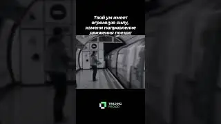 Твои знания могут перевернуть мир! #trading #motivation #live