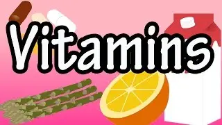 Vitamins - What are Vitamins - Types Of Vitamins - Fat Soluble Vitamins - Water Soluble Vitamins