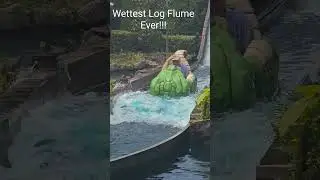 The Wettest Log Flume Ever!! Soaked. family Park Austria #viral #viralshorts #themepark #fail #wet