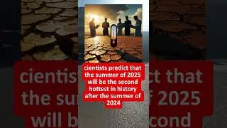 🔥 Summer 2025: The Second Hottest Summer in History!