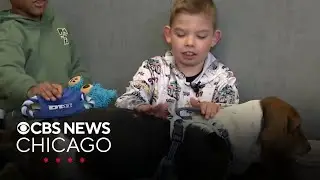 Therapy dog helps make students more comfortable at Indianapolis school