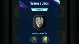 SOLUTION SUAREZ SBC PACYBITS 20