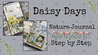 Documenting My Garden Daisies | Nature Journal for Beginners | Step by Step