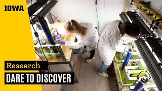 The 2026 Dare to Discover campaign