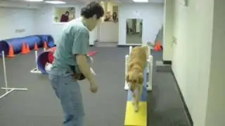 Intro to Agility
