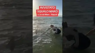 Squali Licola Mare 