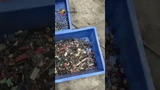 E-waste Recycling - Chips Screening Machine #ewasterecycling #electronicchips #ewastemanagement