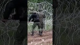 Poland-Belarus border RISKS wildlife