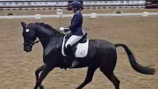 Helen Dutton Farufio Naf Winter Championships Medium Gold Freestyle 8th