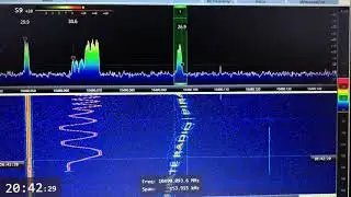 Oscar 100 Rx Pirate Drifting Pirate Radio !