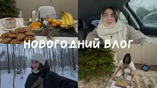 НОВОГОДНИЙ ВЛОГ | Подарки родным | Что назначил косметолог | Готовлю имбирное печенье |Распаковка вб