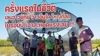 เล่นว่าวยักษ์ว่าวอินโด ใหญ่ที่สุดในหมู่บ้าน  !!!