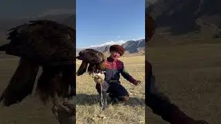 Eagle hunting demonstration