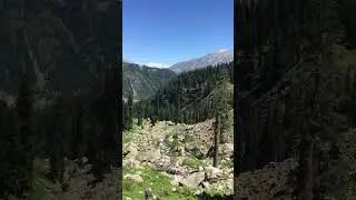 Utror valley in swat #swatpakistan #tourism #meadows #waterfall #hiking #explore