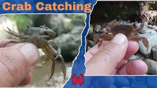 Crab catching & Fishing || Part-32 #outdoorvideo  #survival #survivalskills