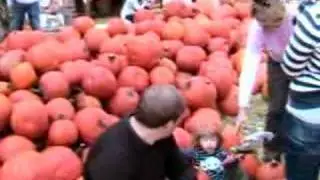 Orchard market