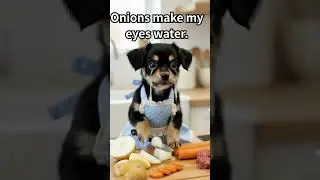 Onions Make My Eyes Water! 🧅😢 Puppy's First Curry Adventure! #dogs #dogshorts