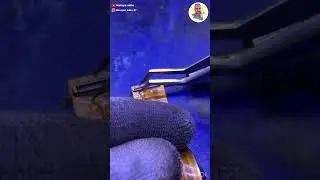 Lcd flex connector replace #shorts #shortfeed #viralvideo #mobile #repair