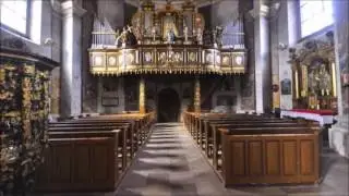 Symfonia organowa Marcin Mackiewicz