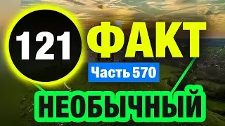 121 Любопытный Факт О Котором Вы Не Знали