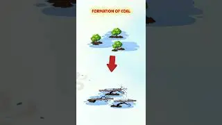 How Coal is Formed ? | Coal Formation | Carbonisation #shorts  #e_learning