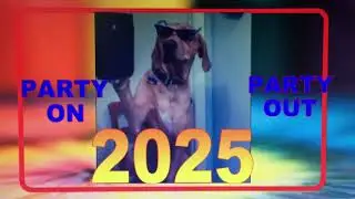 ITS HERE !!! Woooooooo And Bark Bark  -  Comedy ,POV  #pov #bullshido #lifehacks #comedy #pov