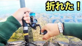 【超絶】竿を折る化け物が潜んでいました！トラブルまみれの劇的な日でした【ショアジギング/飲ませ釣り】