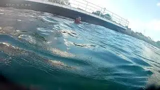underwater diving Blue Water Bridge Michigan