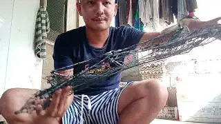 Crab trap folding for crabs