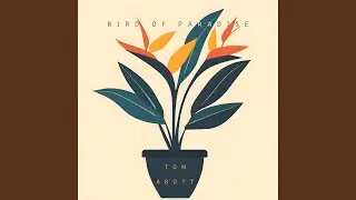 Bird of Paradise