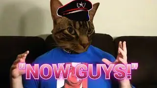 DSP created a BEGGING WISHLIST on Throne for Jasper KITTY!