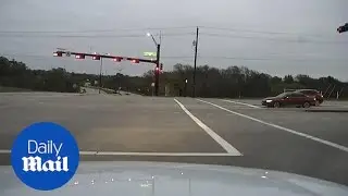 Dashcam video shows police officer preventing a coyote attack