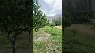 #foryou #viralvideo #nature 🗻#nature #gilgitbaltistan #northarea